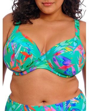 Elomi Toyama Tides Plunge Bikini Top - Blue
