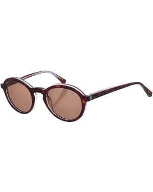 Zen Z427 Round Shape Acetate Sunglasses - Brown