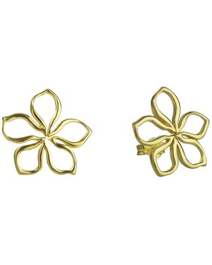 The Jewellery Stockroom Plated Open Flower Studs - Metallic