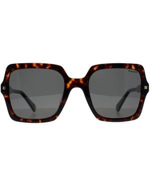 Polaroid Square Havana Polarized Pld 4165/S/X - Black