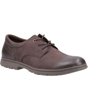 Hush Puppies Trevor Leather Oxfords - Brown