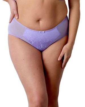 Berlei Beauty Everyday Deep Brief - Purple