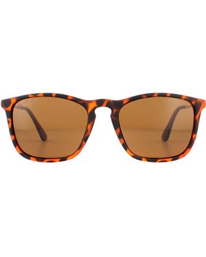 Montana Sunglasses Mp34 C Turtle Rubbertouch Polarized Metal - Brown