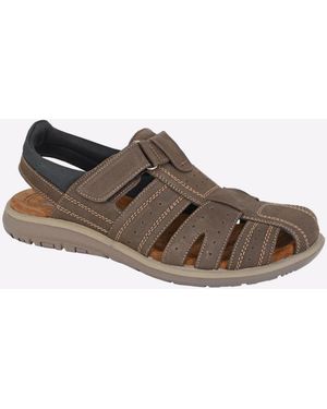 Roamer Jefferson Back - Brown