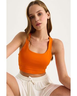 Bianco Lucci Fitted Square Collar Crop Blouse - Orange