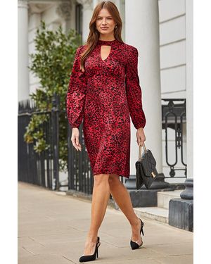 Sosandar Animal Print Key Hole Detail Fit & Flare Dress - Red