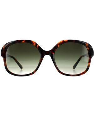 Ted Baker Square Tortoise Gradient Tb1685 Eloise - Brown