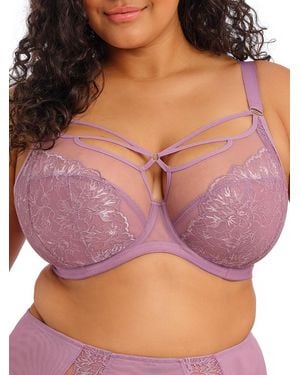 Elomi Brianna Plunge Bra - Purple