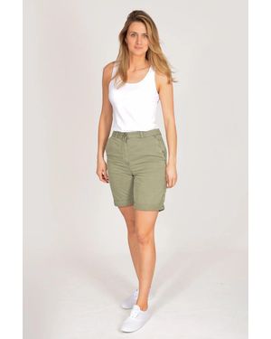 Secret Label Casual Cotton Chino Shorts - Green