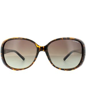 Polaroid Butterfly Havana Gradient Polarized Sunglasses - Brown
