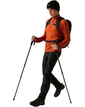 Regatta Highton Waterproof Trousers - Brown