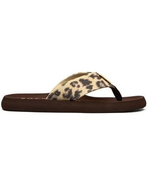 Rocket Dog Adios Floral Sandalen - Bruin