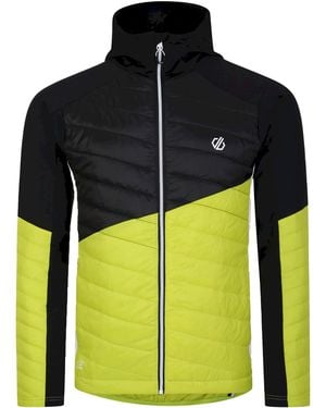 Dare 2b Gendarme Padded Jacket Algae) - Multicolour