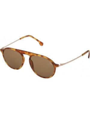 Lozza Sl4206M 55 0711 Sunglasses - Brown