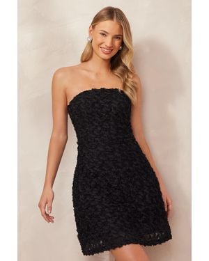 Quiz Floral Bandeau Mini Dress - Black