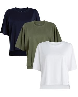 French Connection 3-Pack Crew Neck Boxy Fit T-Shirt - Multicolour