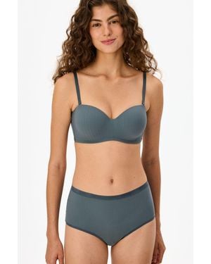 Penti Lotus Essentials Padded Bra - Blue