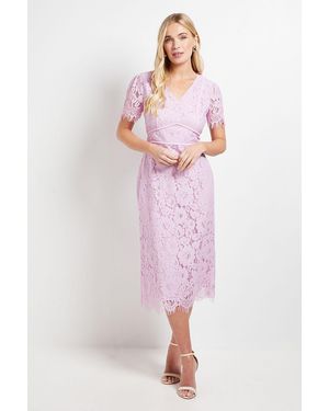 Wallis Petite Lace Seam Detail Pencil Midi Dress - Pink