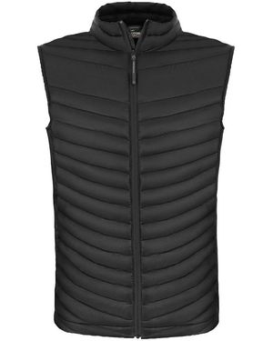 Craghoppers Adult Expert Expolite Thermal Body Warmer - Black