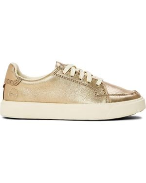 Timberland Emerson Street Low Lace Up Trainer - Natural