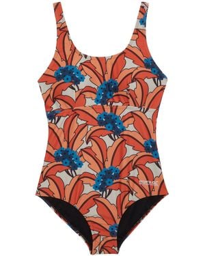 Regatta Ladies Orla Kiely Tropical One Piece Swimsuit - Red