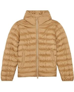 DIESEL Plain Padded Hooded Jacket - Brown