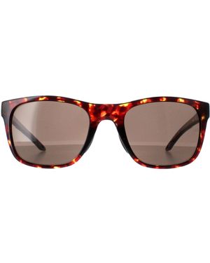 Under Armour Sunglasses 0013/G/S 086 Havana - Brown