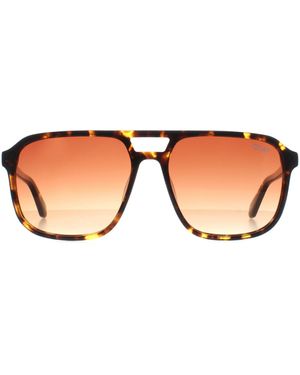 Quay Aviator Tortoise Gradient On The Fly - Brown