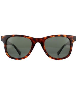 Polaroid Rectangle Dark Havana Polarized Sunglasses - Brown