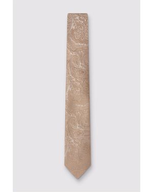 Antique Rogue Paisley Tie - White