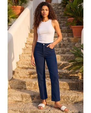 Roman Petite Stretch Straight Leg Jeans - Blue