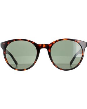 Guess Round Dark Havana Gu00023 - Brown