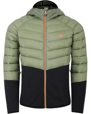 Dare 2b Torrek Mountain Hybrid Jacket - Green