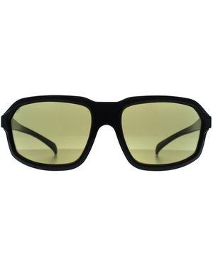 Serengeti Wrap Shiny Transparent Layer Saturn Photochromic 555Nm Hext - Green