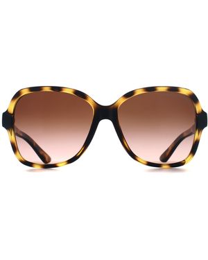 ARMANI EXCHANGE Butterfly Shiny Havana Gradient Ax4029S - Brown