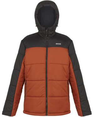 Regatta Nevado Vii Insulated Padded Jacket (Burnt/Ash) - Orange
