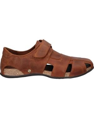 Panama Jack Sandalen Voor - Bruin