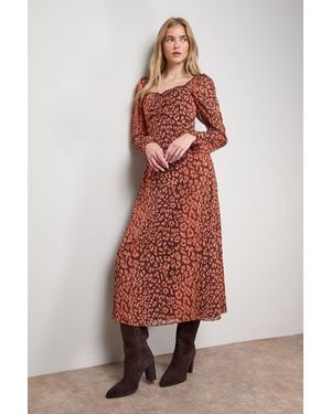 Oasis Printed Chiffon Shoulder Detail Shirred Back Midi Dress