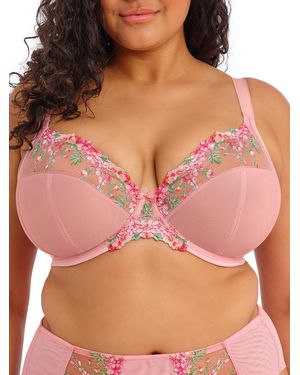 Elomi Aerith Plunge Bra - Pink