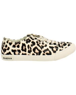 Seavees Monterey Mulholland Plimsolls - Black