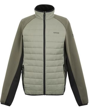 Regatta Clumber Iv Full Zip Hybrid Jacket (Golden Sand/Treetop/ - Green