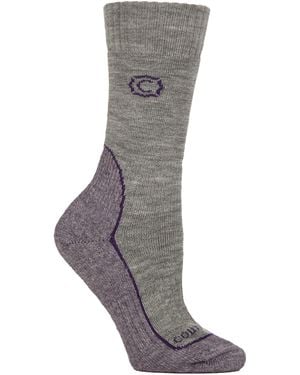 Country Pursuit Ladies Wool Blend Cushioned Walker Socks For Hiking & Outdoor Comfort - Grey