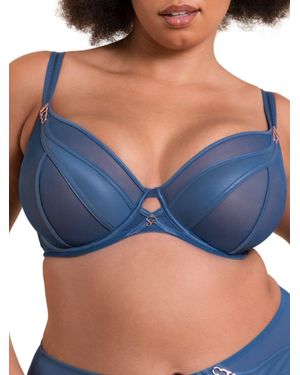 Curvy Kate Suspense Plunge Bra - Blue