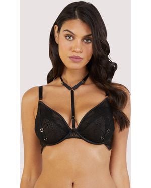 Playful Promises Felicity Hayward X Pp Fairfield Fishnet And Lace Plunge Bra - Black