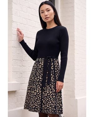 Roman Knit Animal Print Belted Dress - Blue