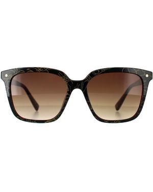 Ted Baker Square Double Champagne Demi Gradient Tb1676 Ramona - Brown