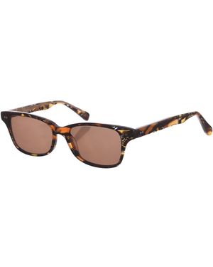 Zen Z449 Square Shape Acetate Sunglasses - Brown