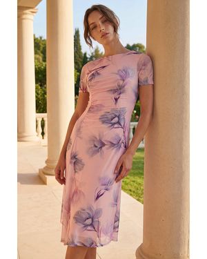 Roman Petite Print Ruched Mesh Midi Dress - Pink