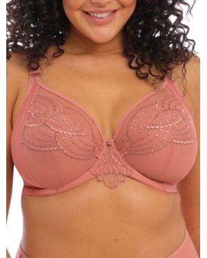 Elomi Priya Plunge Bra - Pink