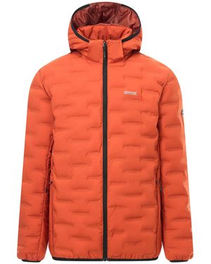 Regatta Astrel Padded Jacket (Rooibos Tea) - Orange